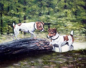 JackRussellLarge.jpg